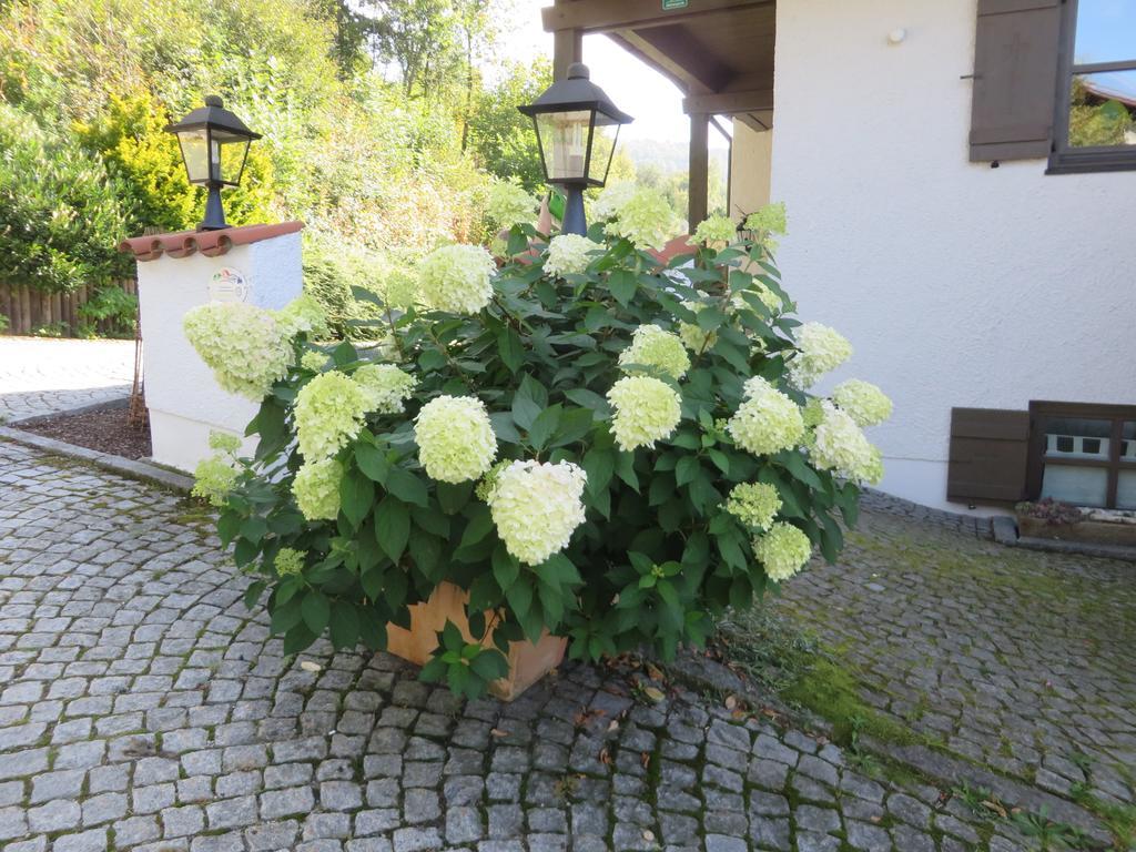 Hittenpichl Bodenmais Zewnętrze zdjęcie